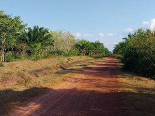 Terreno en venta en Phrom Khiri, Nakhon Si Thammarat