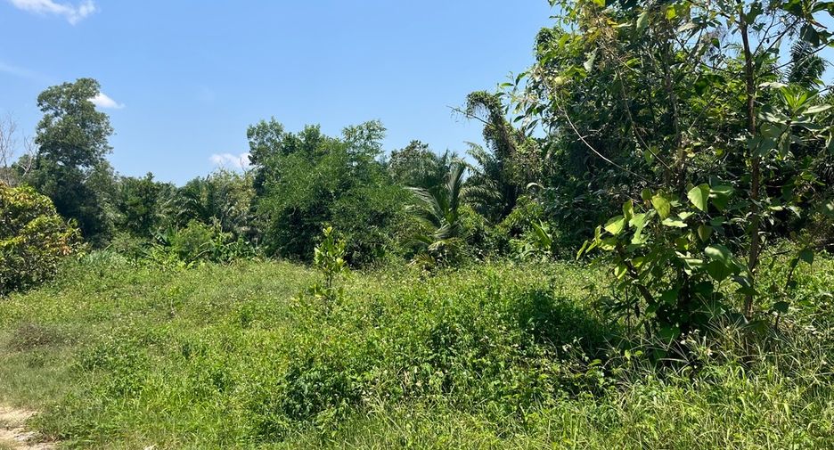 出售 土地 在 Takua Pa, Phangnga