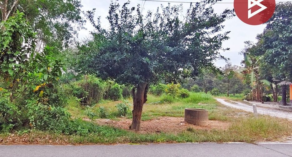 Grundstück zum Kauf in Phrom Khiri, Nakhon Si Thammarat