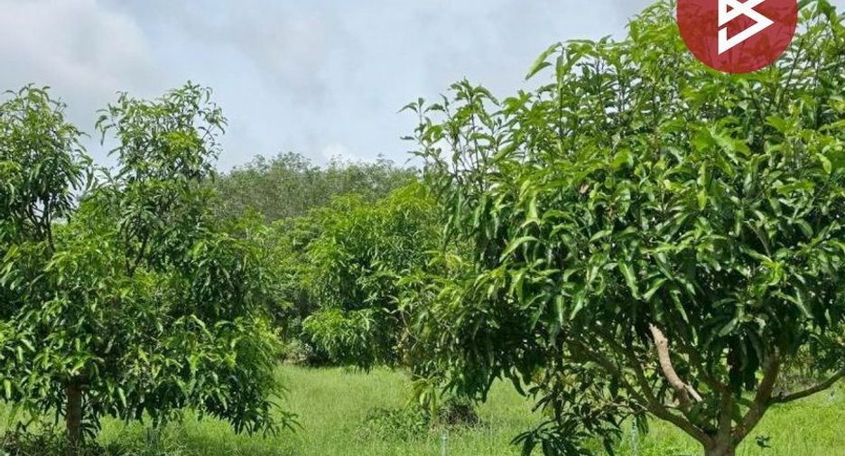 Terreno en venta en Tha Mai, Chanthaburi