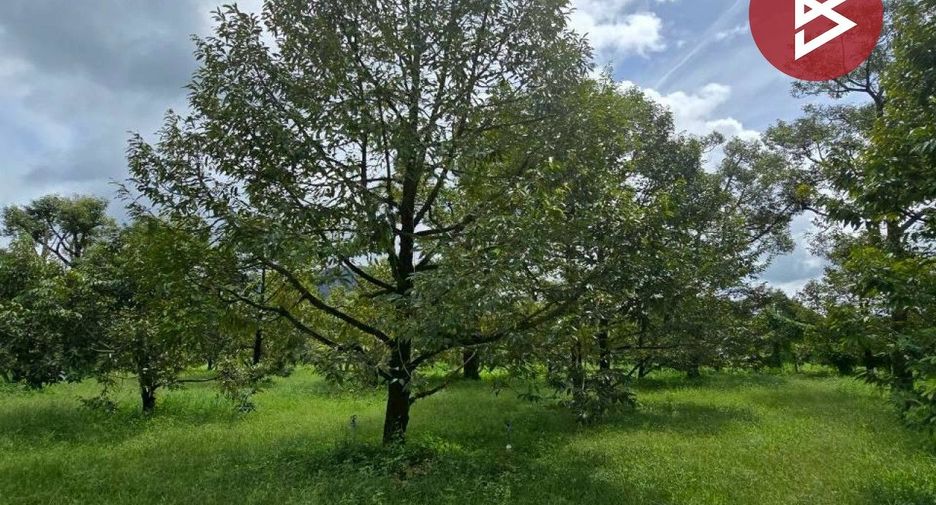 Terreno en venta en Tha Mai, Chanthaburi