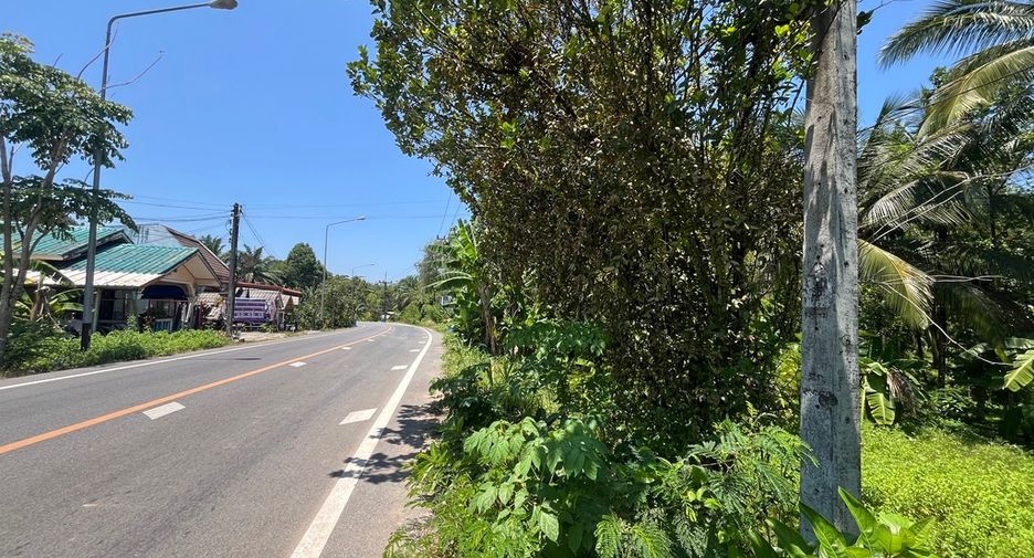 ขาย ที่ดิน ใน ตะกั่วทุ่ง, พังงา