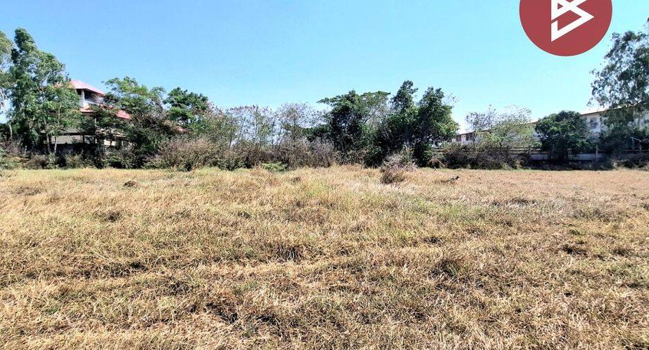 For sale land in Selaphum, Roi Et
