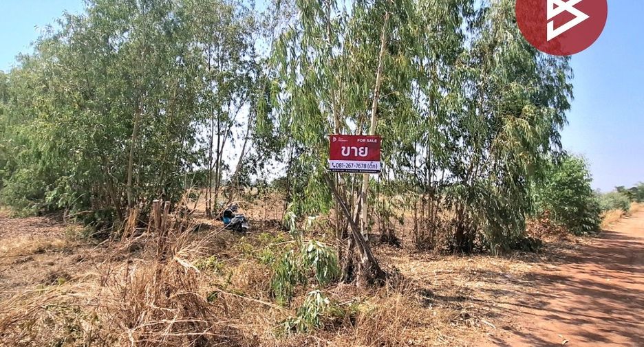 For sale land in Selaphum, Roi Et