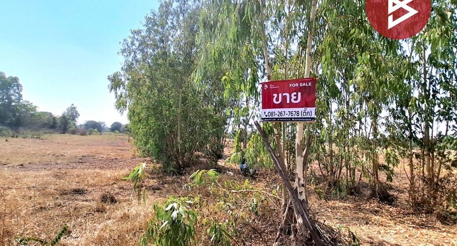 For sale land in Selaphum, Roi Et
