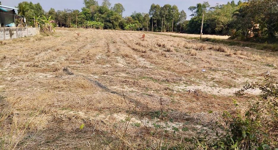 Terreno en venta en Plaeng Yao, Chachoengsao