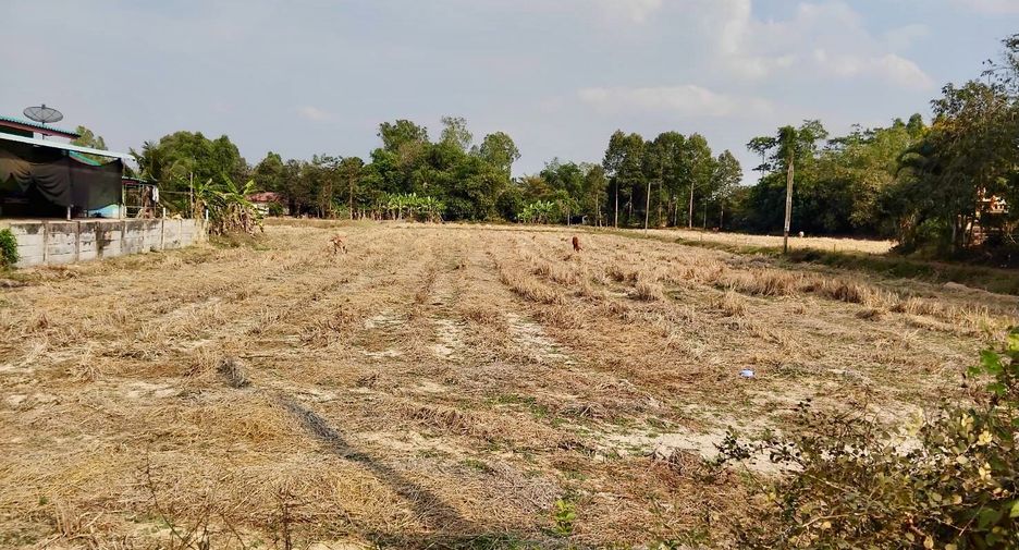 Terreno en venta en Plaeng Yao, Chachoengsao