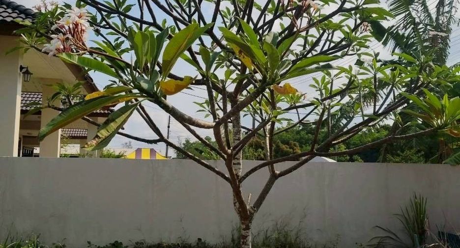 Продажа Участок в Mueang Chanthaburi, Чантхабури