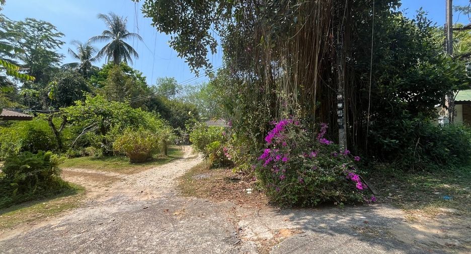 For sale land in Takua Pa, Phang Nga