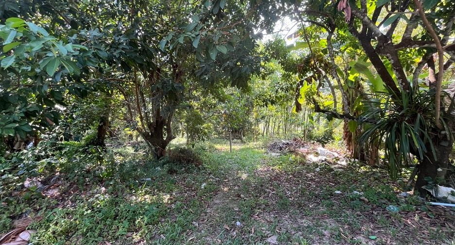 For sale land in Takua Pa, Phang Nga