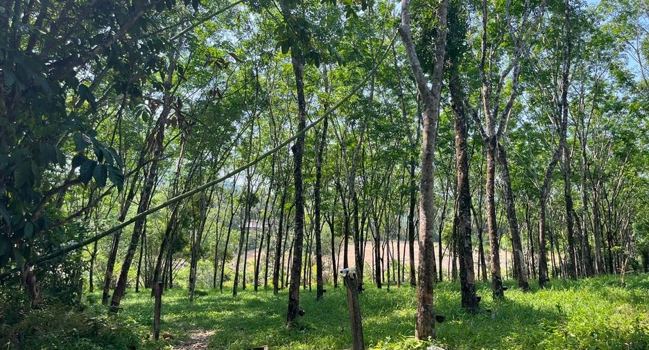 For sale land in Takua Pa, Phang Nga