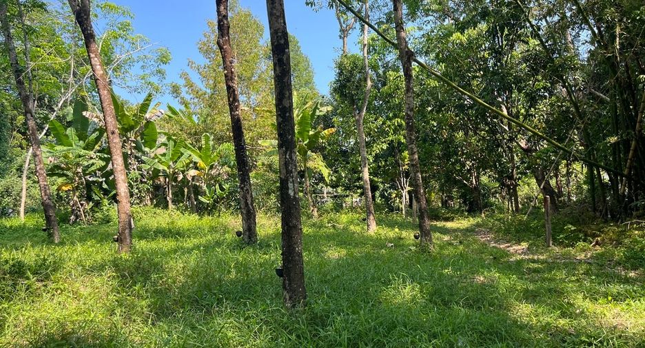 For sale land in Takua Pa, Phang Nga