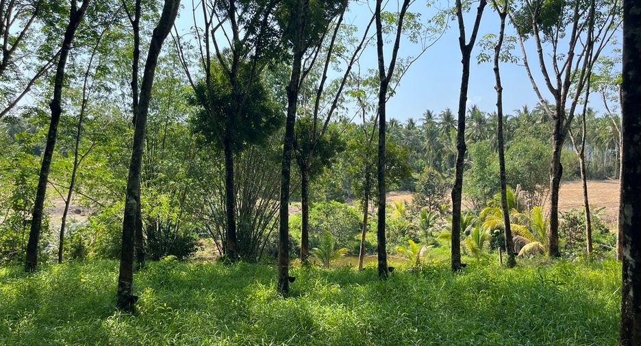 For sale land in Takua Pa, Phang Nga