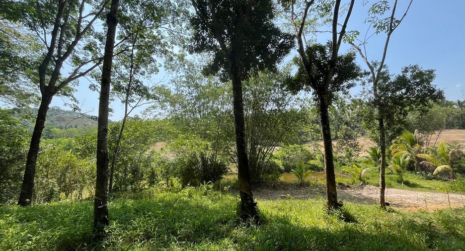 For sale land in Takua Pa, Phang Nga
