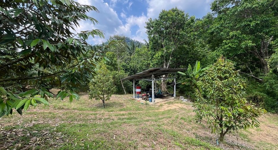 For sale land in Mueang Phangnga, Phang Nga