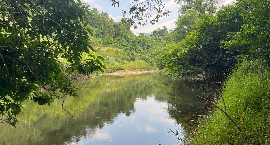 For sale land in Mueang Phangnga, Phang Nga