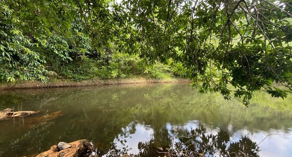 For sale land in Mueang Phangnga, Phang Nga