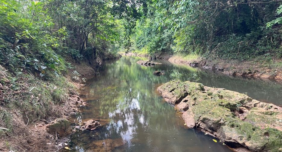 For sale land in Mueang Phangnga, Phang Nga