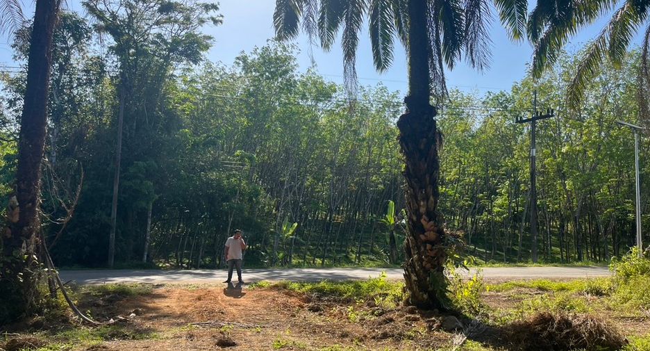 For sale land in Takua Thung, Phang Nga