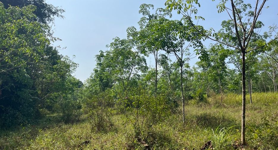 For sale land in Thai Mueang, Phang Nga