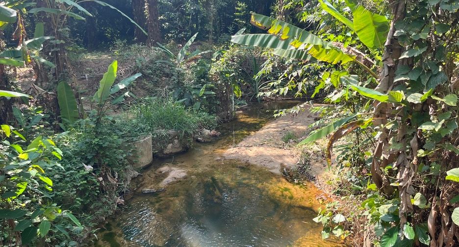 For sale land in Thai Mueang, Phang Nga
