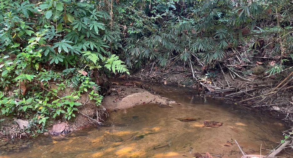 For sale land in Thai Mueang, Phang Nga