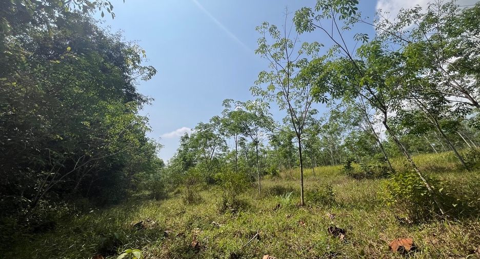 For sale land in Thai Mueang, Phang Nga