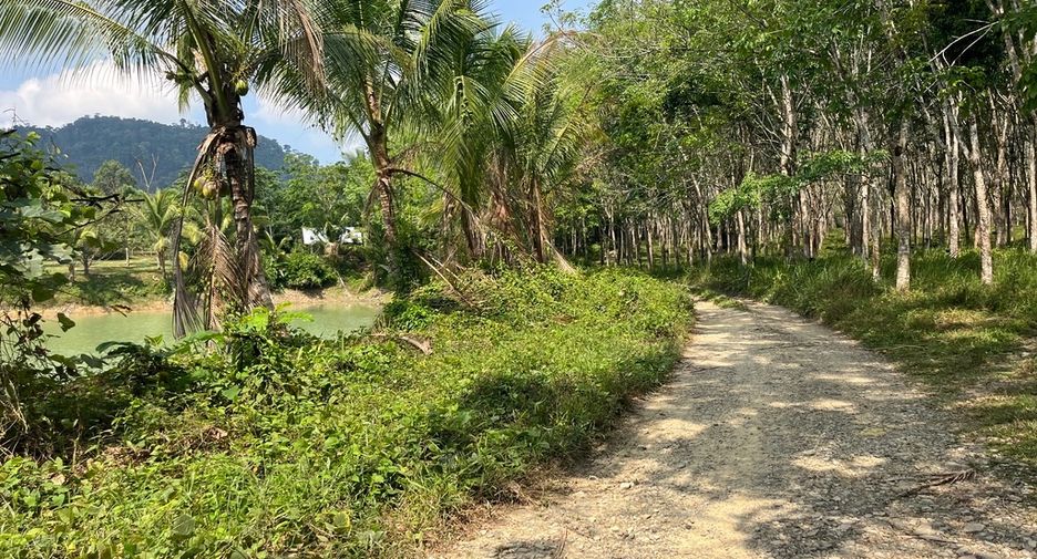 For sale land in Thai Mueang, Phang Nga