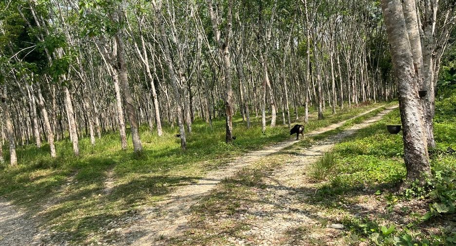 For sale land in Thai Mueang, Phang Nga