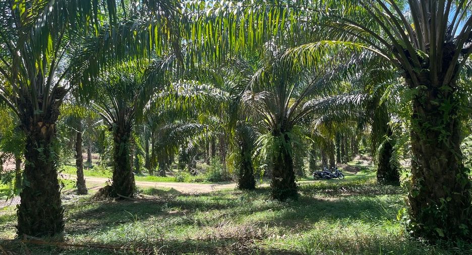 For sale land in Thai Mueang, Phang Nga
