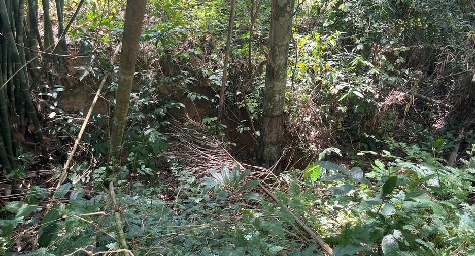 For sale land in Thai Mueang, Phang Nga