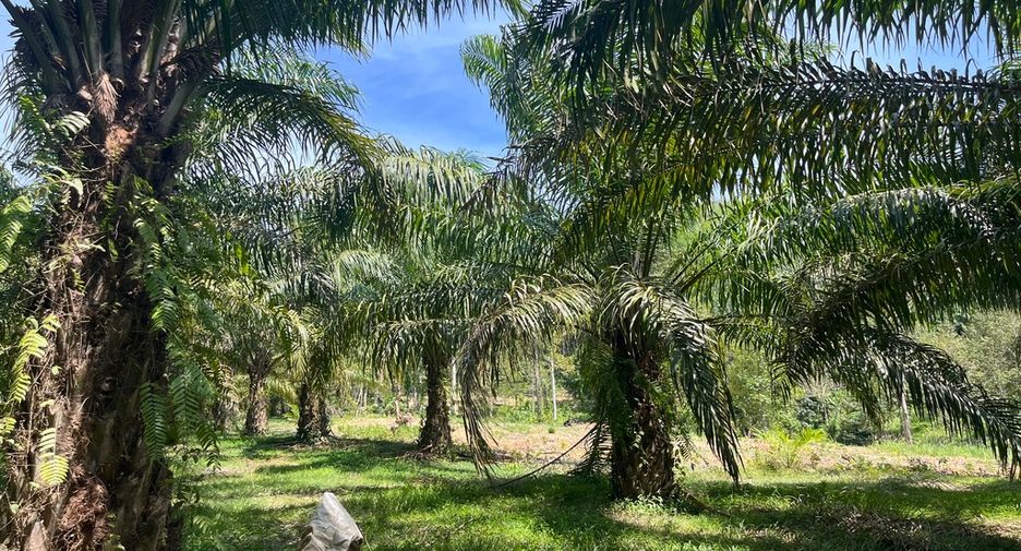 For sale land in Thai Mueang, Phang Nga