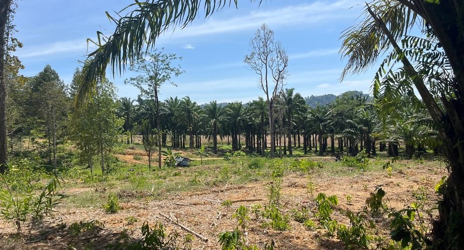 For sale land in Thai Mueang, Phang Nga