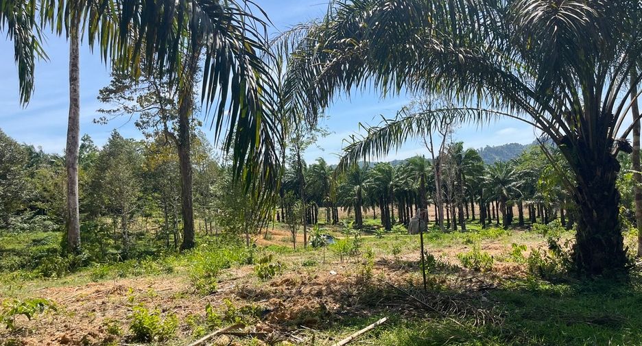 For sale land in Thai Mueang, Phang Nga