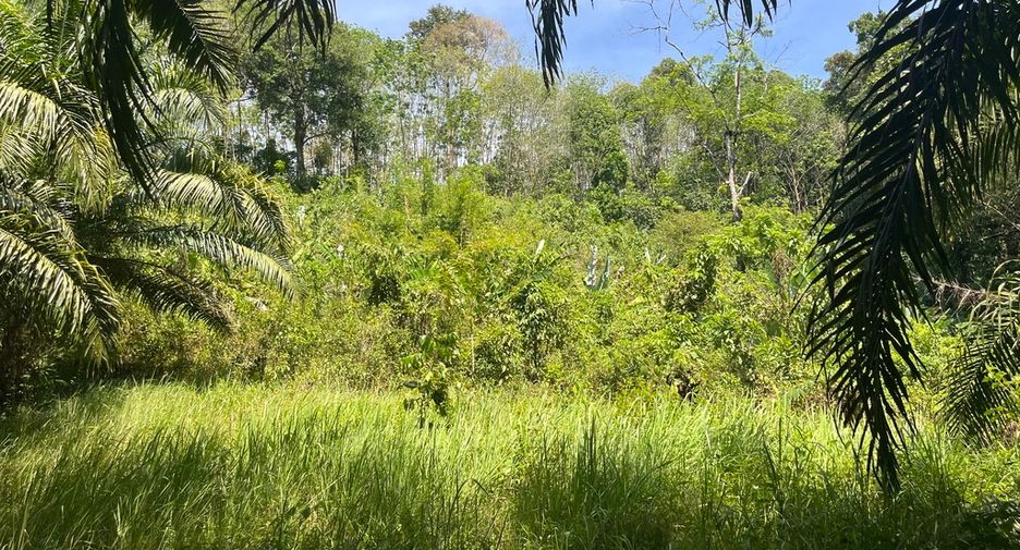 For sale land in Thai Mueang, Phang Nga