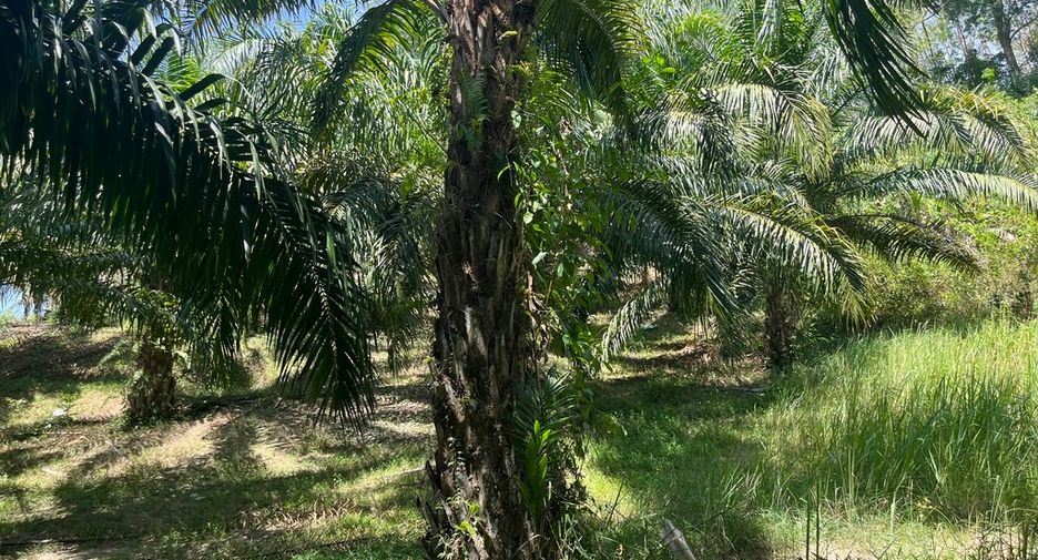 For sale land in Thai Mueang, Phang Nga