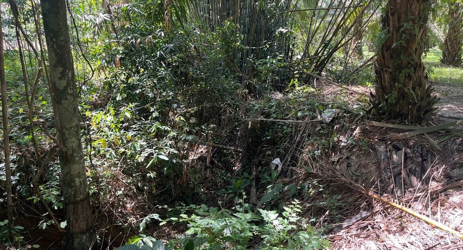 For sale land in Thai Mueang, Phang Nga