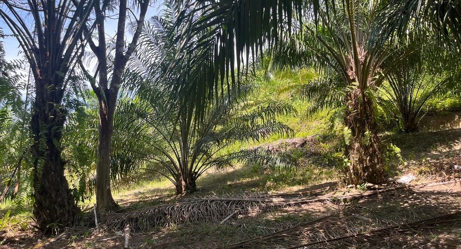 For sale land in Thai Mueang, Phang Nga