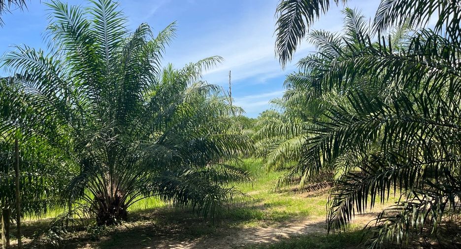 For sale land in Thai Mueang, Phang Nga