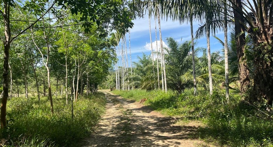 For sale land in Thai Mueang, Phang Nga