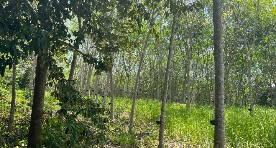 Terreno en venta en Takua Thung, Phang Nga