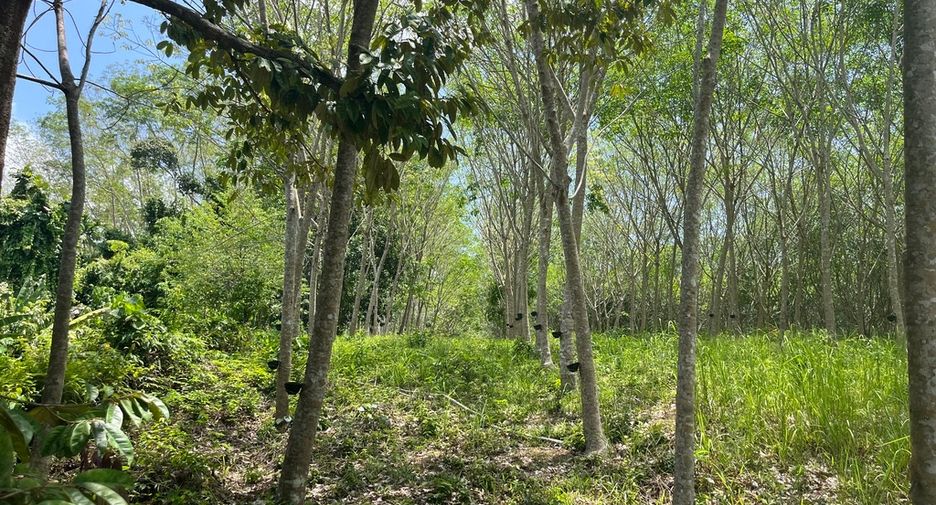 Terreno en venta en Takua Thung, Phang Nga