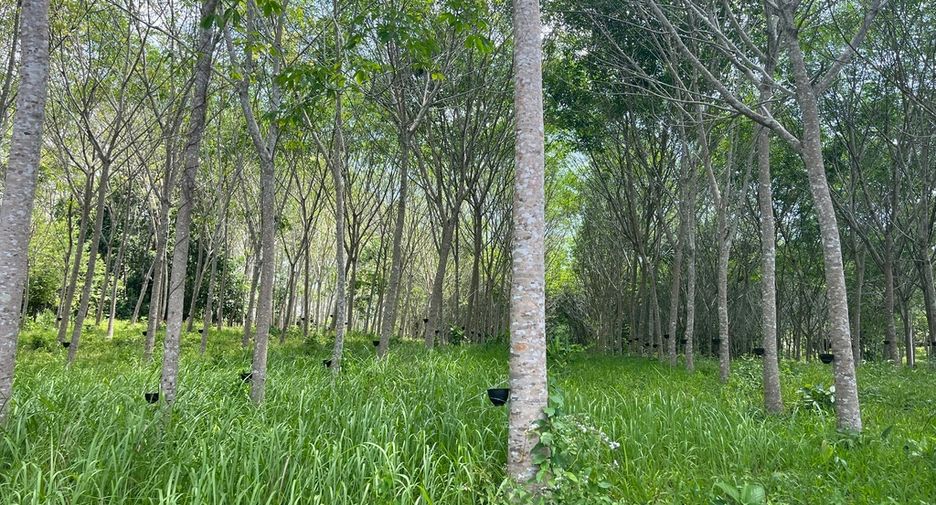 Terreno en venta en Takua Thung, Phang Nga