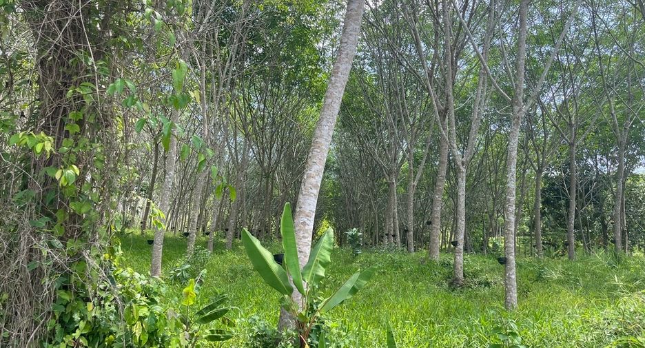 Terreno en venta en Takua Thung, Phang Nga