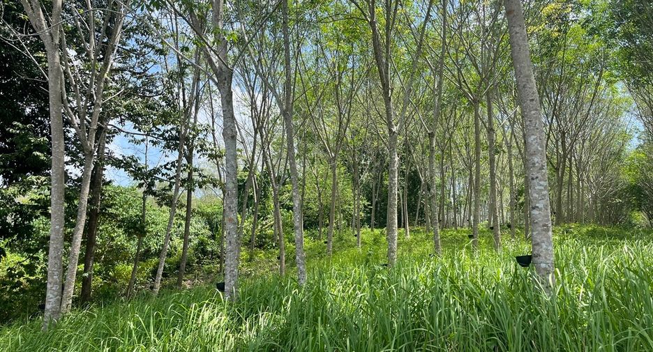 Terreno en venta en Takua Thung, Phang Nga