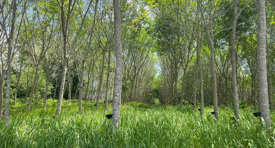 Terreno en venta en Takua Thung, Phang Nga