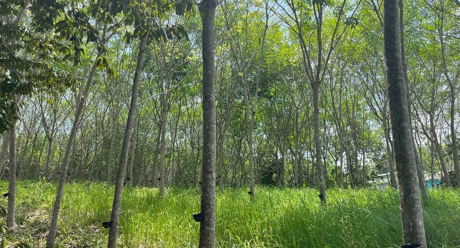 Terreno en venta en Takua Thung, Phang Nga