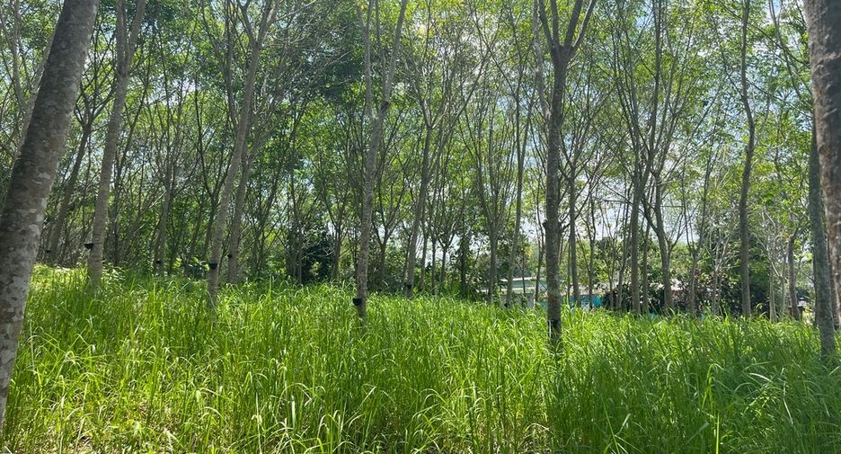 Terreno en venta en Takua Thung, Phang Nga