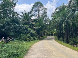 出售 土地 在 Takua Thung, Phangnga