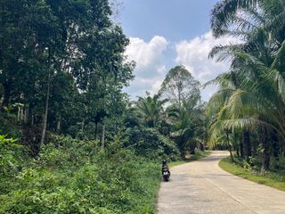 出售 土地 在 Takua Thung, Phangnga